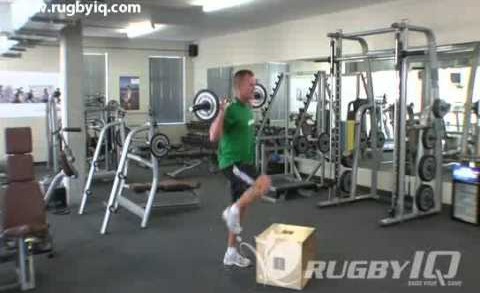 Barbell Step Ups