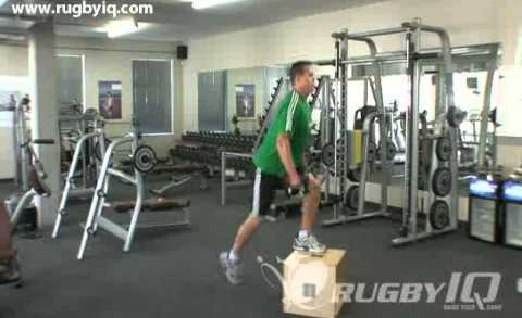 Dumbell/Plate Step Up and Knee Drive