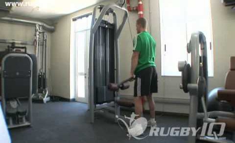 Standing Wide Grip Tricep Push downs